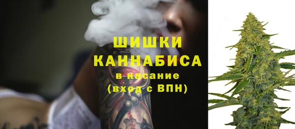 ПСИЛОЦИБИНОВЫЕ ГРИБЫ Нефтегорск