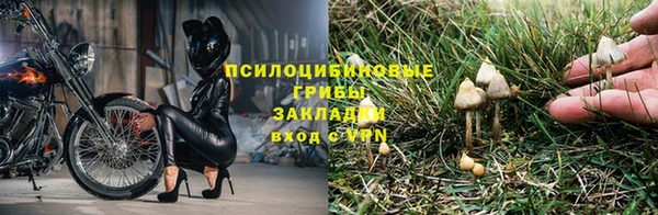 гидра Новозыбков