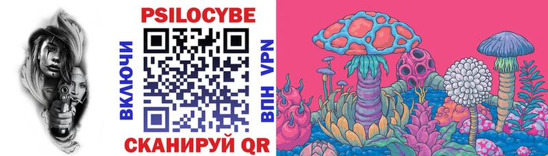 Псилоцибиновые грибы Psilocybe  Карталы 