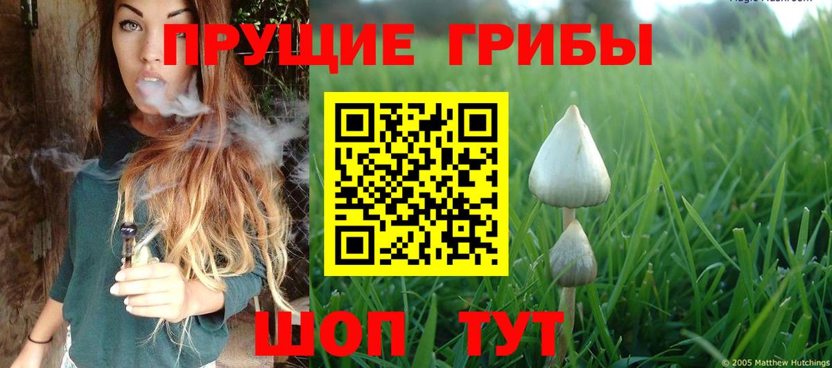 Псилоцибиновые грибы GOLDEN TEACHER Карталы