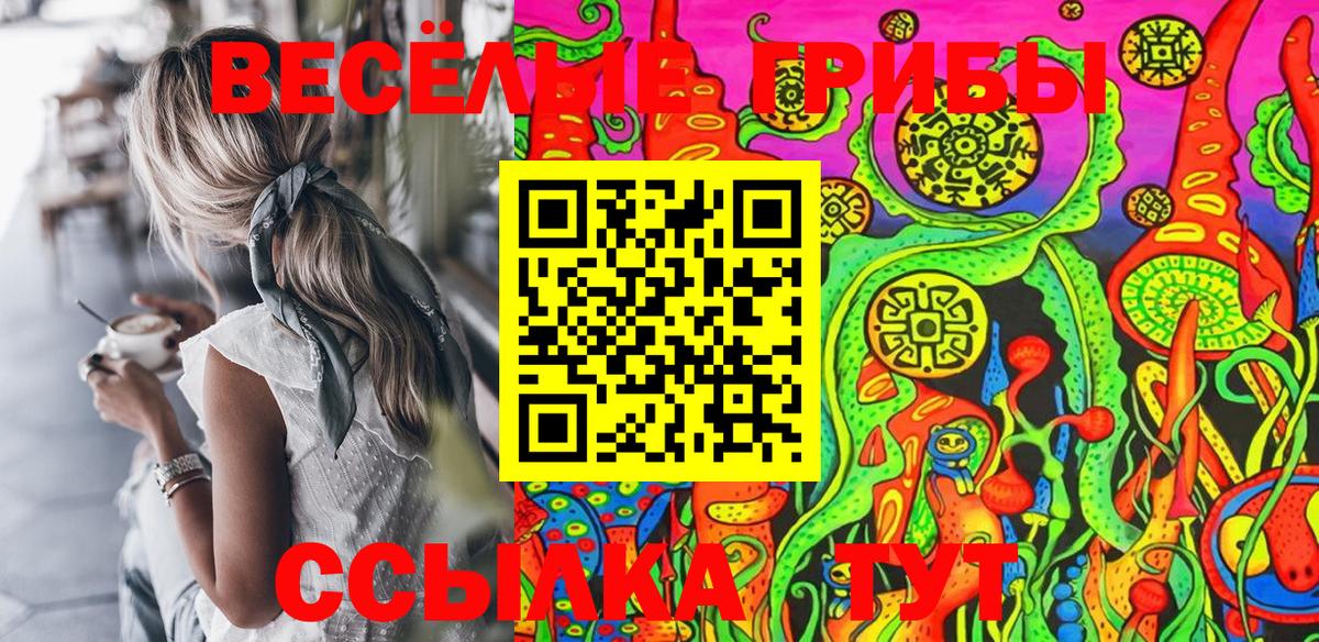 Галлюциногенные грибы мицелий  Вход с VPN  Псилоцибиновые грибы Psilocybe  Карталы 